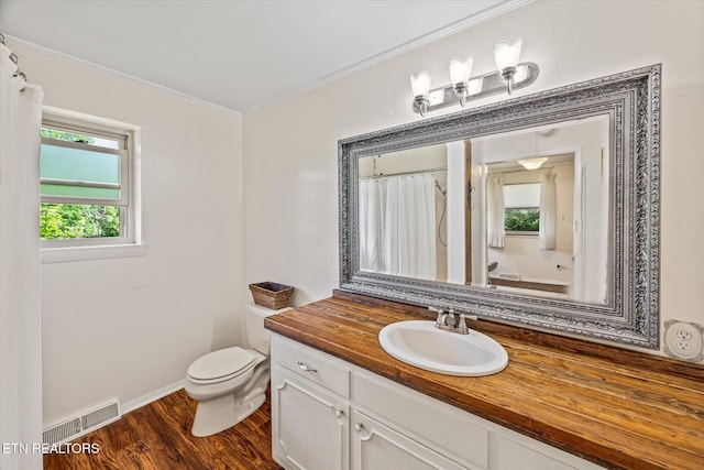 2059 Bolestown Loop, Alpine, TN 38543 - bathroom featuring toilet, vanity, plenty of natural light, ornamental molding, and wood finished floors