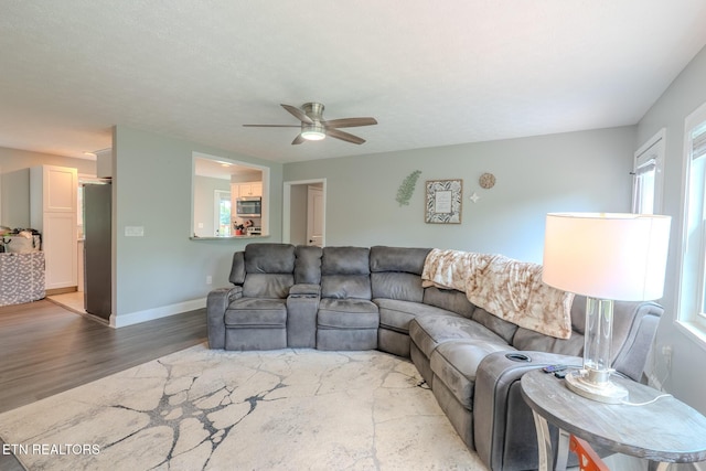 309 Tillery Dr, Knoxville, TN 37912 - photo 8