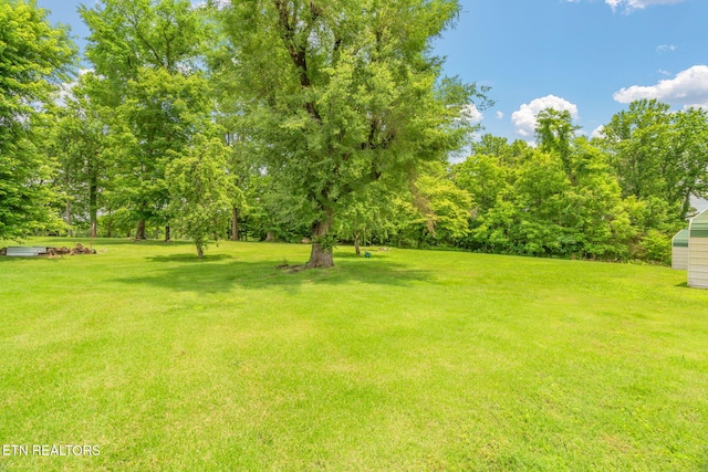 252 Harding Rd, Harriman, TN 37748 - photo 9