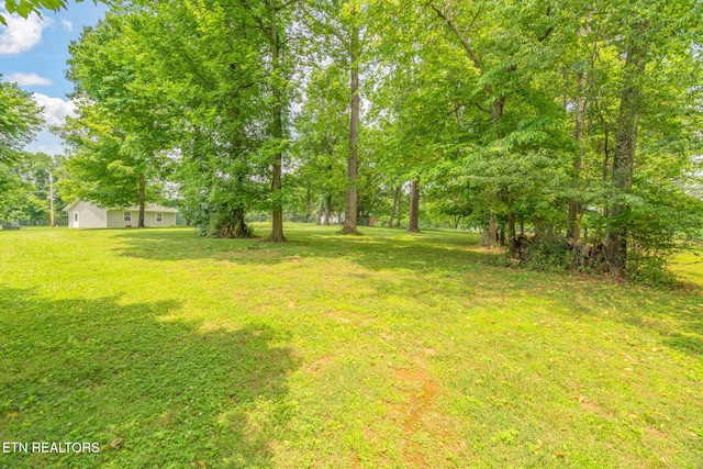 252 Harding Rd, Harriman, TN 37748 - photo 32
