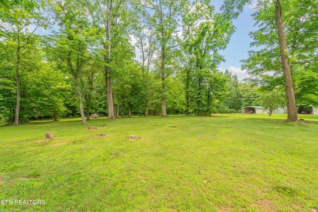 252 Harding Rd, Harriman, TN 37748 - photo 35