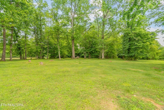 252 Harding Rd, Harriman, TN 37748 - photo 36