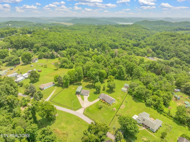 252 Harding Rd, Harriman, TN 37748 - photo 39