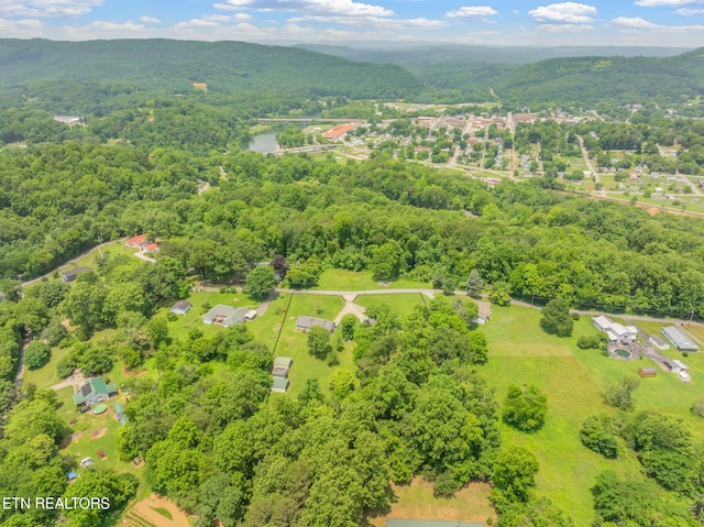 252 Harding Rd, Harriman, TN 37748 - photo 40