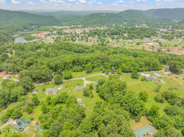 252 Harding Rd, Harriman, TN 37748 - photo 41