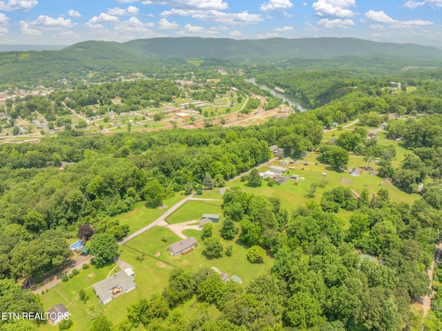 252 Harding Rd, Harriman, TN 37748 - photo 42
