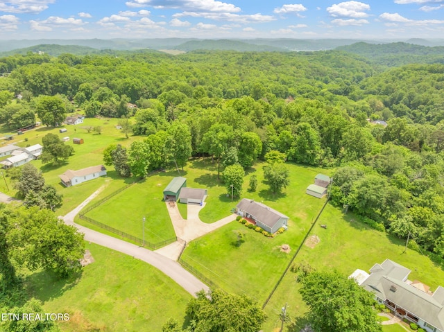 252 Harding Rd, Harriman, TN 37748 - photo 43
