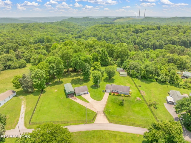 252 Harding Rd, Harriman, TN 37748 - photo 44