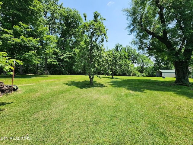 252 Harding Rd, Harriman, TN 37748 - photo 54