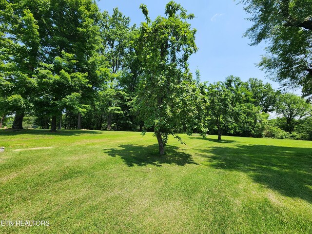 252 Harding Rd, Harriman, TN 37748 - photo 55