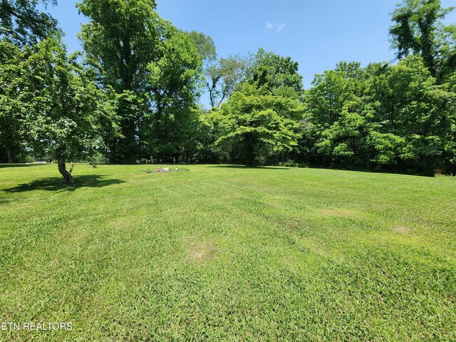252 Harding Rd, Harriman, TN 37748 - photo 56