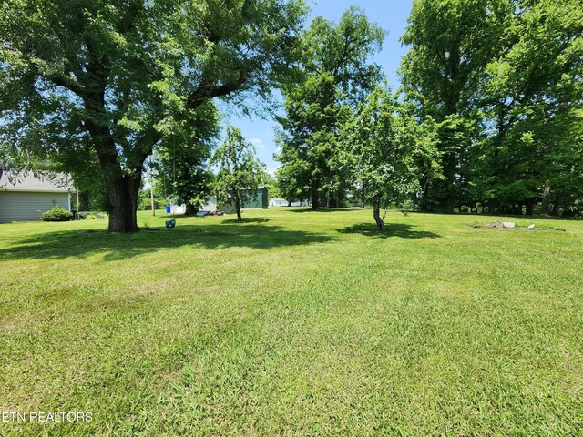 252 Harding Rd, Harriman, TN 37748 - photo 57
