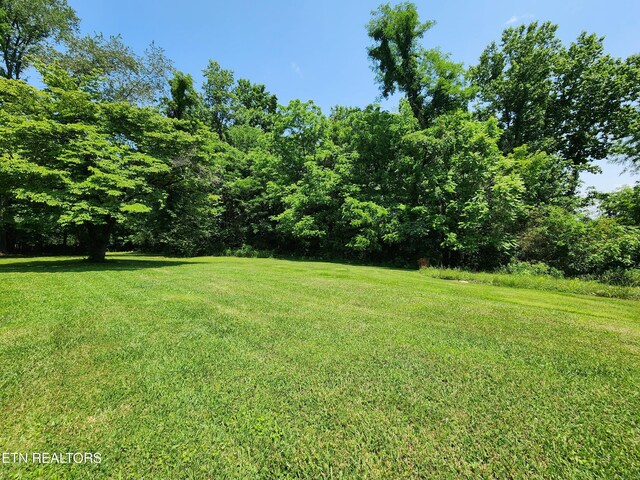 252 Harding Rd, Harriman, TN 37748 - photo 59