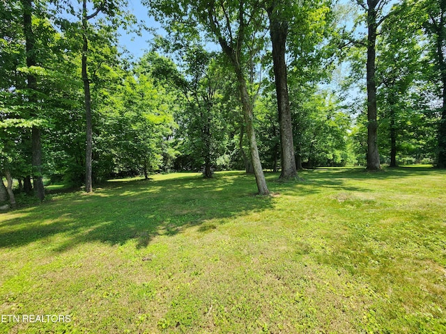 252 Harding Rd, Harriman, TN 37748 - photo 60