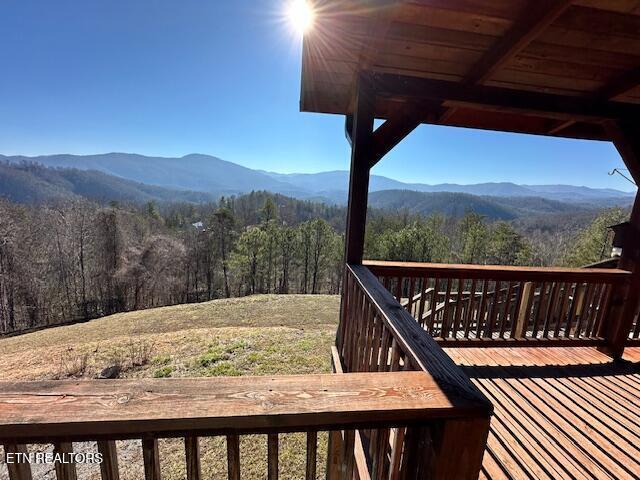 1015 Kizzy Patch Way, Del Rio, TN 37727 - mountain view with a heavily wooded area