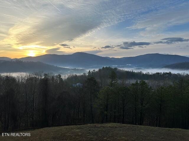1015 Kizzy Patch Way, Del Rio, TN 37727 - view of mountain background with a heavily wooded area