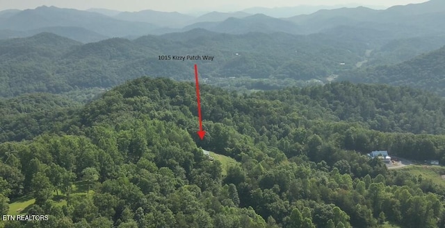 1015 Kizzy Patch Way, Del Rio, TN 37727 - photo 28