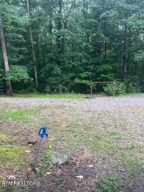 533 Valley Ridge Rd, Jamestown, TN 38556 - view of yard