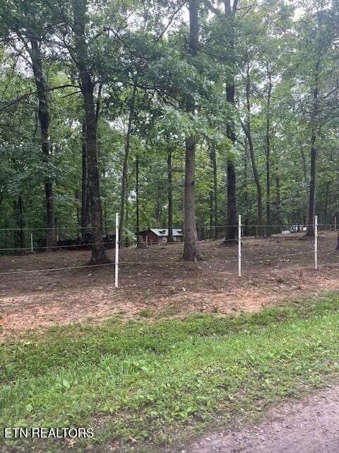 533 Valley Ridge Rd, Jamestown, TN 38556 - view of woods
