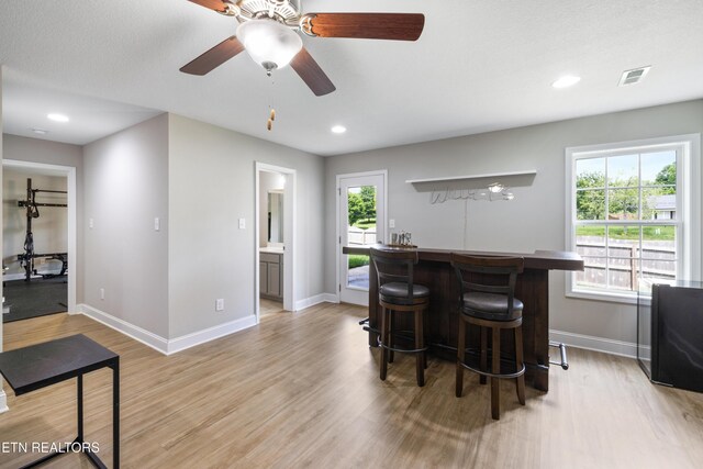 8104 Equinox Ln, Powell, TN 37849 - indoor dry bar featuring baseboards, light wood-type flooring, a ceiling fan, and recessed lighting