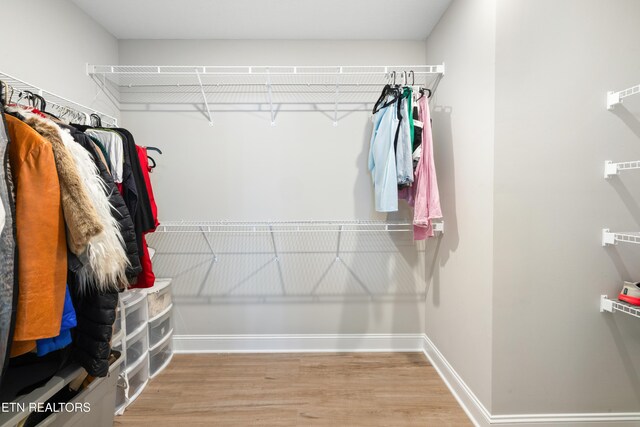 8104 Equinox Ln, Powell, TN 37849 - walk in closet featuring wood finished floors