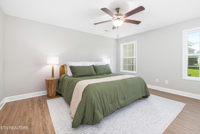 8104 Equinox Ln, Powell, TN 37849 - bedroom featuring wood finished floors, baseboards, and ceiling fan