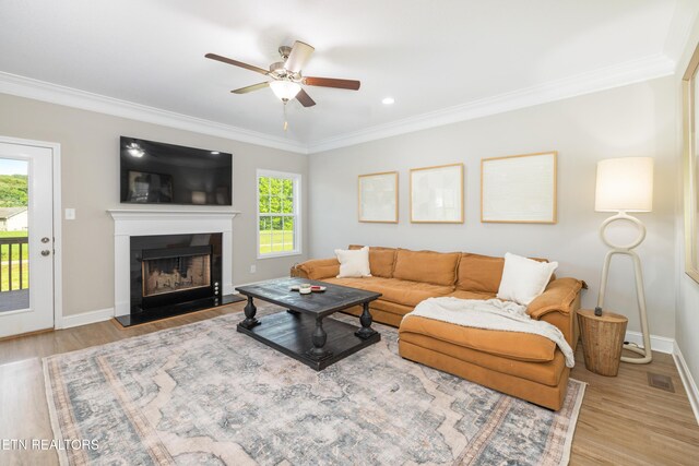 8104 Equinox Ln, Powell, TN 37849 - living area with ornamental molding, ceiling fan, wood finished floors, a fireplace, and baseboards