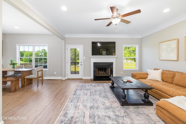 8104 Equinox Ln, Powell, TN 37849 - living room featuring wood finished floors, ceiling fan, ornamental molding, baseboards, and a fireplace