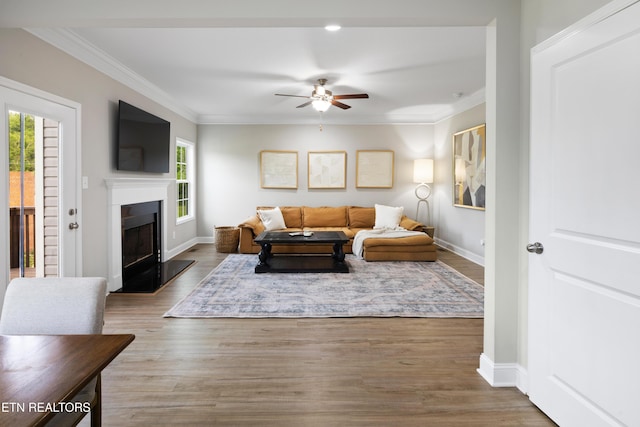 8104 Equinox Ln, Powell, TN 37849 - living area featuring healthy amount of natural light, a ceiling fan, ornamental molding, and wood finished floors