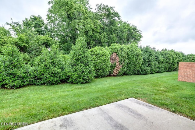 3807 Honeytree Ln, Knoxville, TN 37938 - photo 30