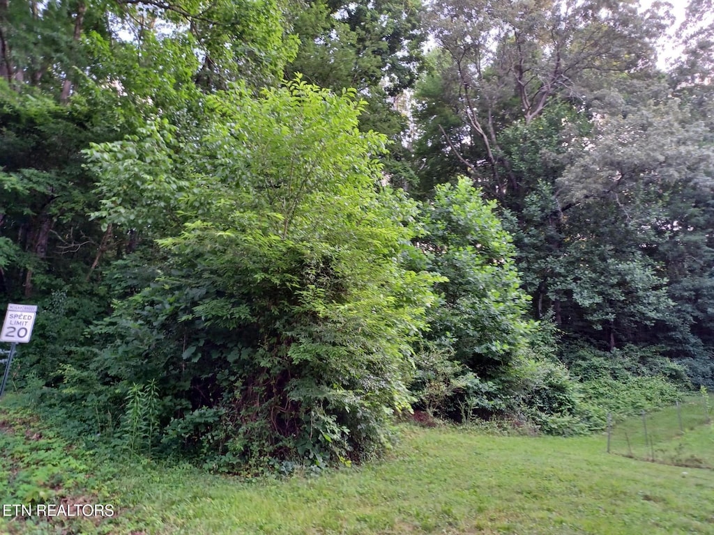 2732 Willocks Ave, Maryville, TN 37804 - photo 1