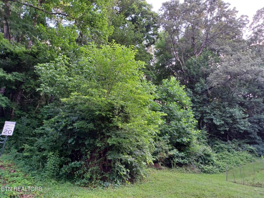 2732 Willocks Ave, Maryville, TN 37804 - photo 4
