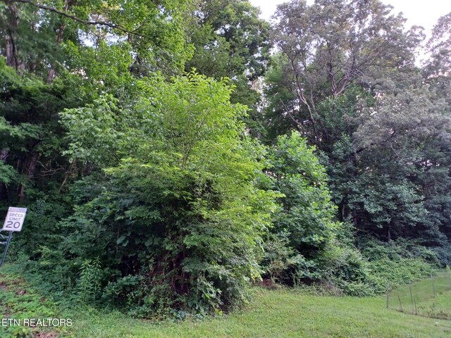 2732 Willocks Ave, Maryville, TN 37804 - photo 4
