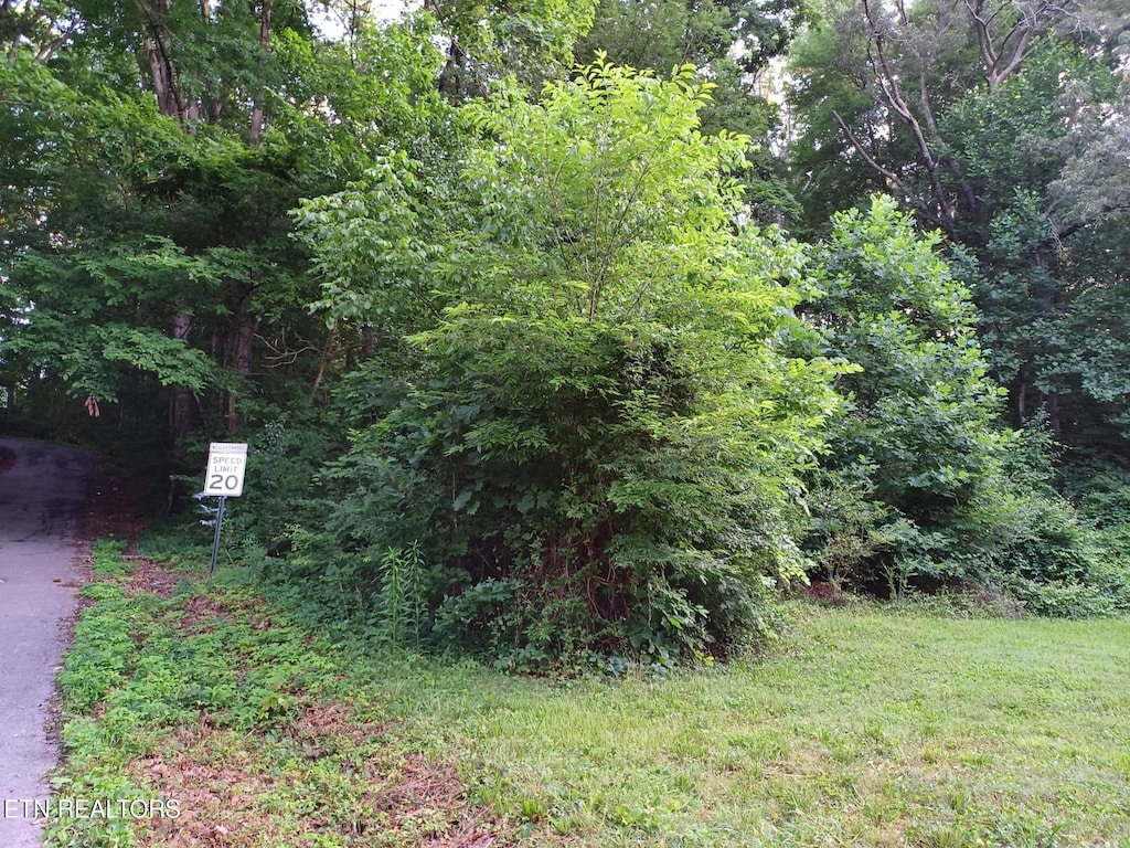 2732 Willocks Ave, Maryville, TN 37804 - photo 3