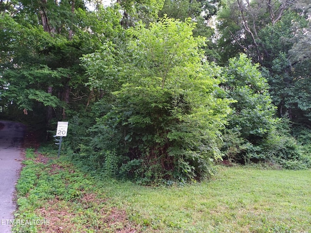 2732 Willocks Ave, Maryville, TN 37804 - photo 3