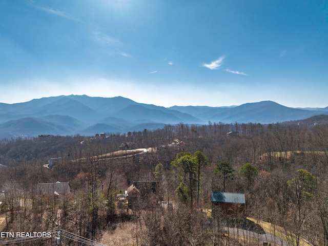 1108 Circle Pt, Gatlinburg, TN 37738 - view of mountain backdrop with a forest