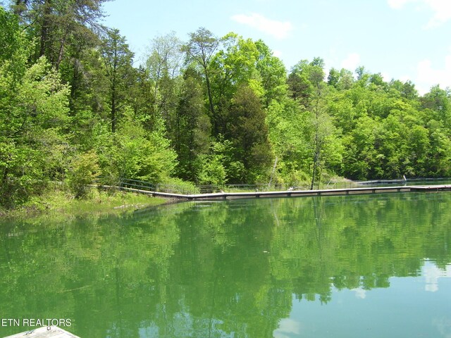 LOT609 Chimney Rock Rd, New Tazewell, TN 37825