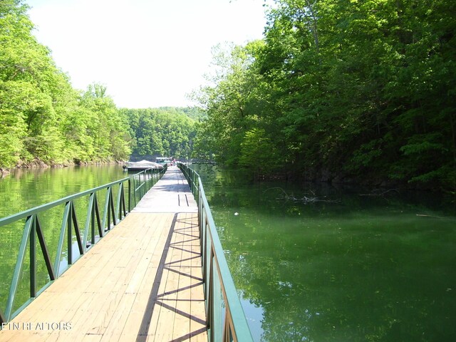 LOT609 Chimney Rock Rd, New Tazewell, TN 37825