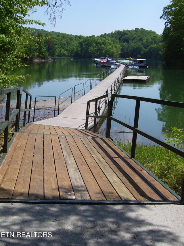 LOT609 Chimney Rock Rd, New Tazewell, TN 37825