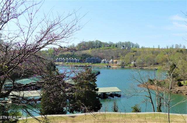 Deerfield Way, Lafollette, TN 37766