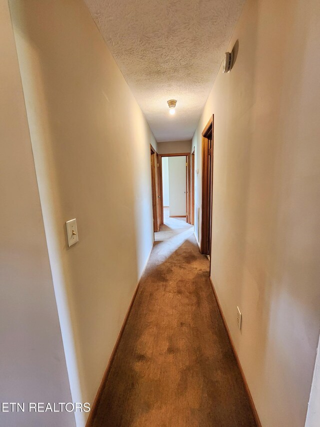232 Kimberly Rd, Lafollette, TN 37766 - hall featuring carpet floors and a textured ceiling