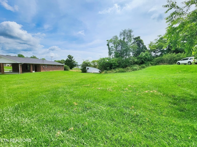 232 Kimberly Rd, Lafollette, TN 37766 - view of grassy yard