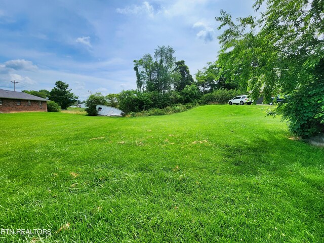 232 Kimberly Rd, Lafollette, TN 37766 - view of yard