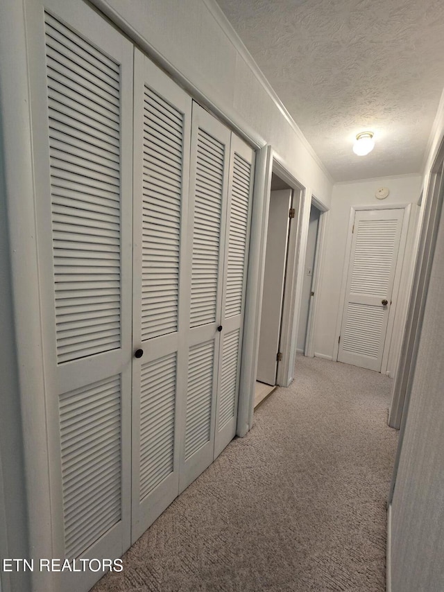 114 Verdun Rd, Oneida, TN 37841 - hallway with carpet floors, a textured ceiling, and crown molding