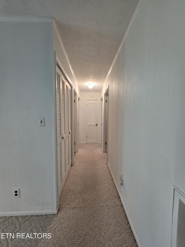 114 Verdun Rd, Oneida, TN 37841 - hallway featuring carpet