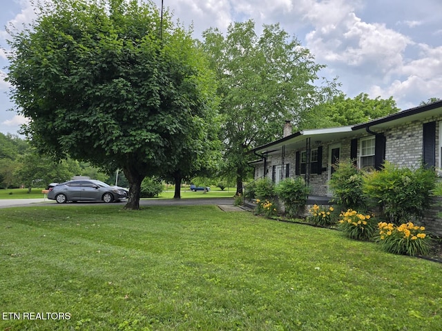 114 Verdun Rd, Oneida, TN 37841 - view of grassy yard
