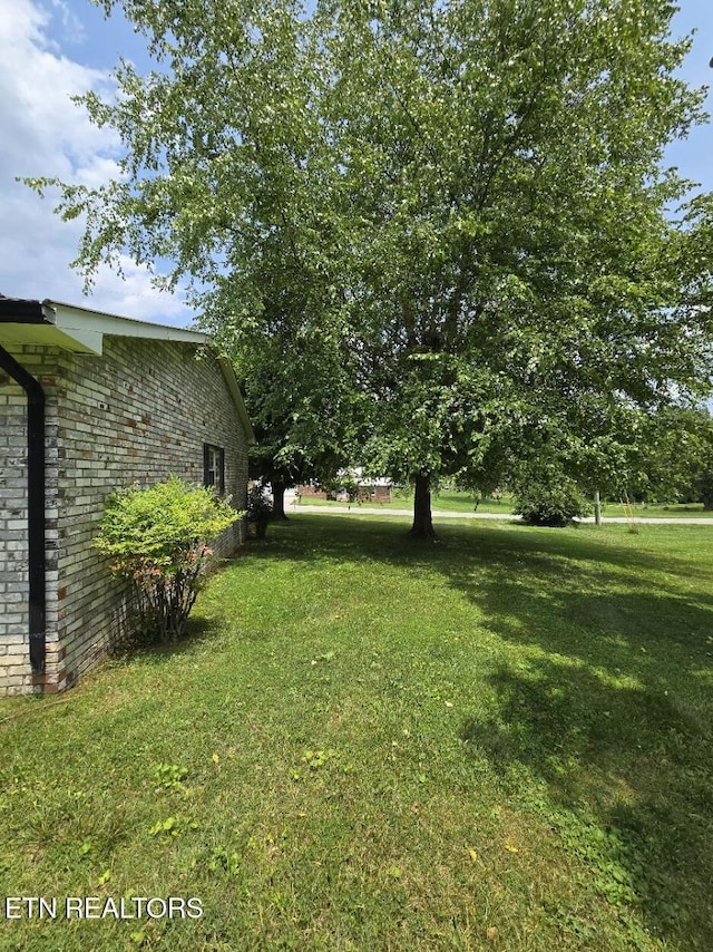 114 Verdun Rd, Oneida, TN 37841 - view of grassy yard