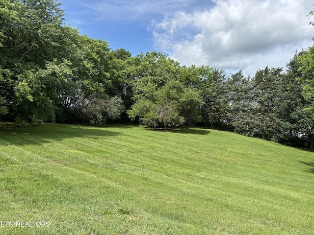 2726 Kentwood Dr, Kodak, TN 37764 - view of grassy yard