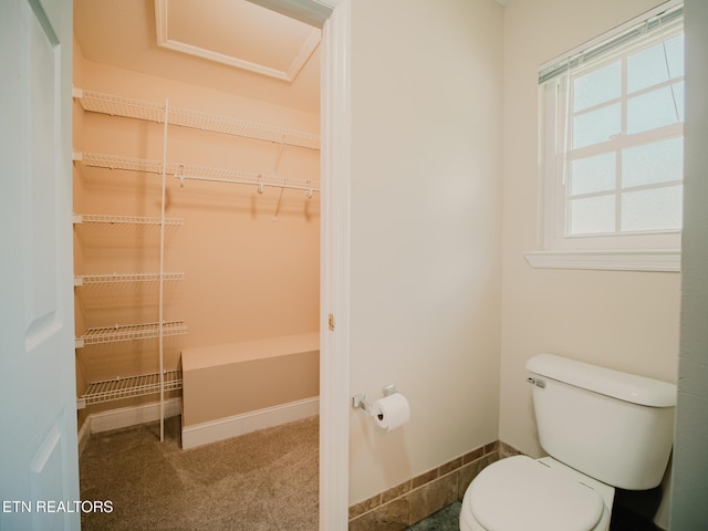 116 Deer Path Trl, Vonore, TN 37885 - bathroom featuring toilet and baseboards