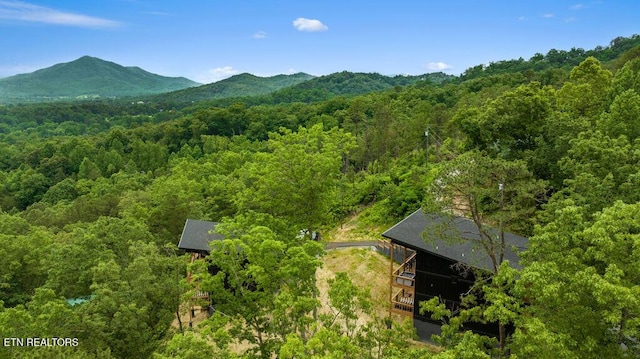 2634 Whipoorwill Hill Way, Sevierville, TN 37862 - view of mountain background featuring a heavily wooded area